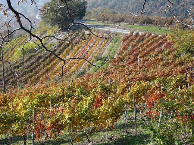 Cascina Sant'Eufemia Villa Sinio Luaran gambar