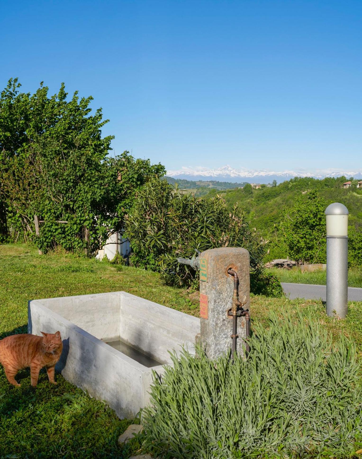 Cascina Sant'Eufemia Villa Sinio Luaran gambar