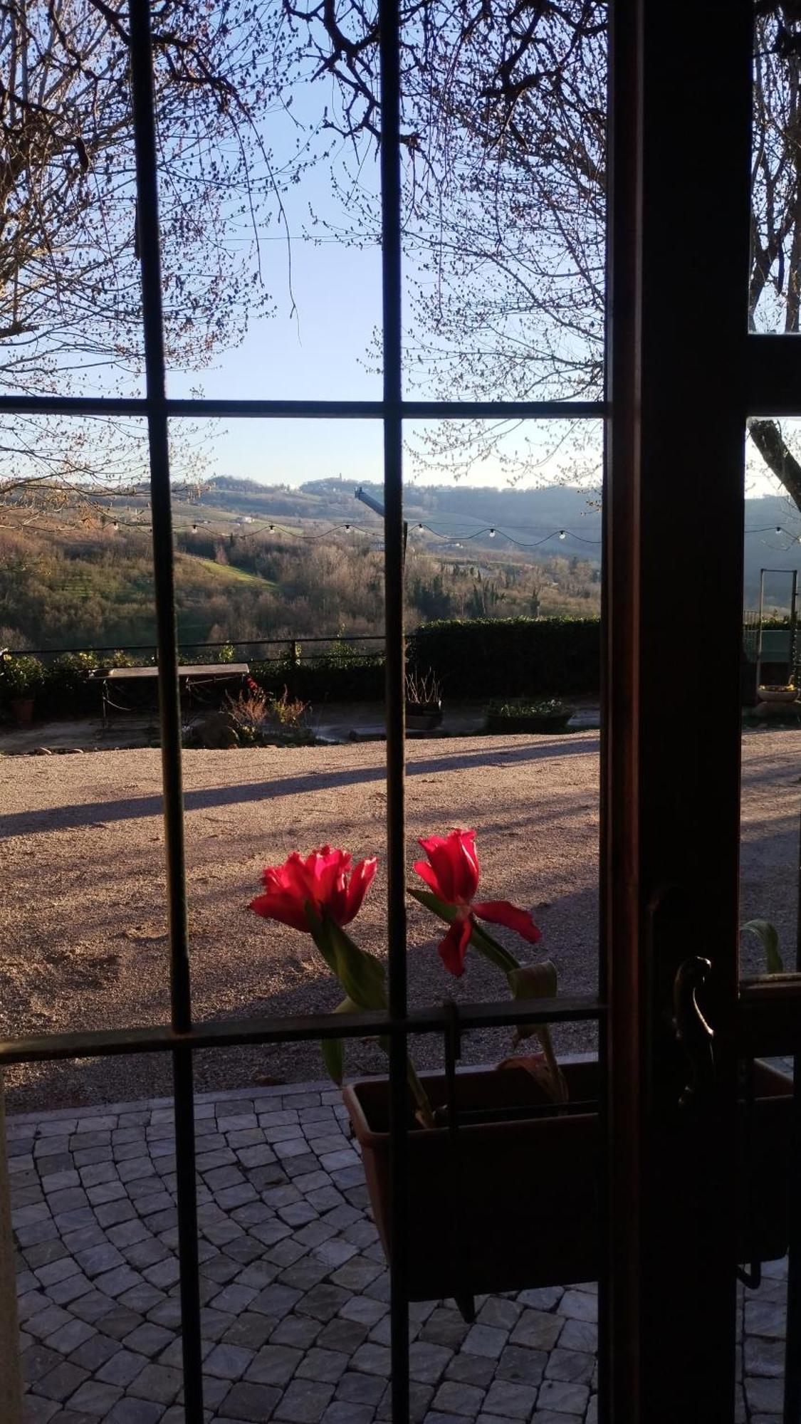 Cascina Sant'Eufemia Villa Sinio Luaran gambar